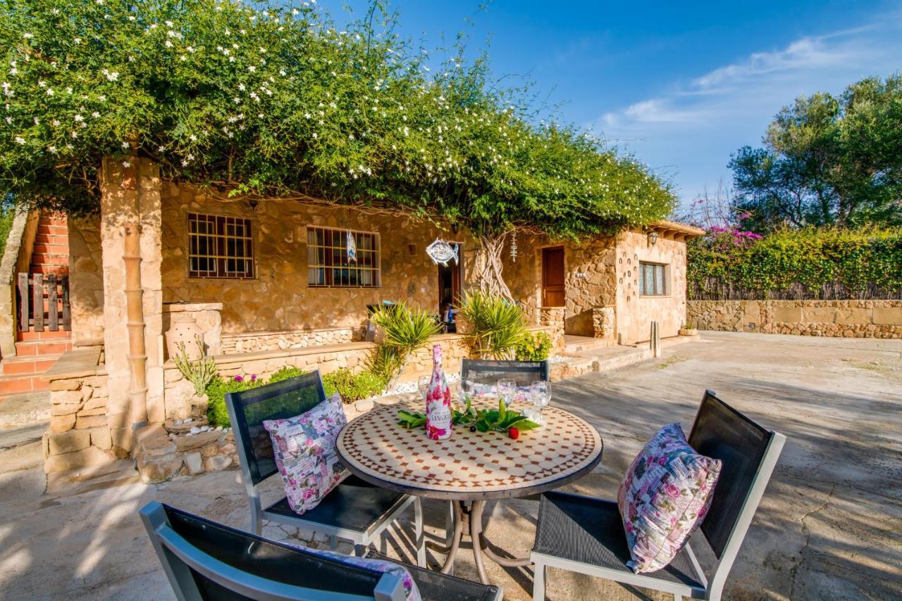 Ideal Property Mallorca - Sa Vinya Vella Алькудия Экстерьер фото